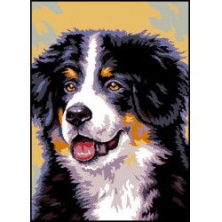 Kézimunka - Gobelin - 30x40cm - Berni Pásztor