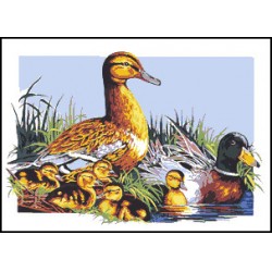 Kézimunka - Gobelin - 30x40cm - Vadkacsa család